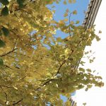 万物并育而不相害