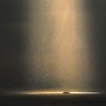 年年岁岁人相似,岁岁年年花不同