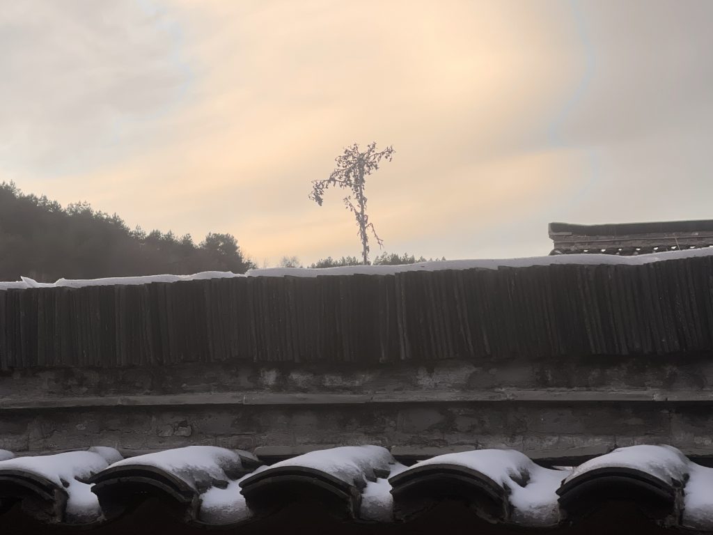 事缓则圆,人缓则安