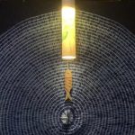 拾到一束光/生长出了叶子