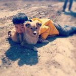 漂泊 在路上……