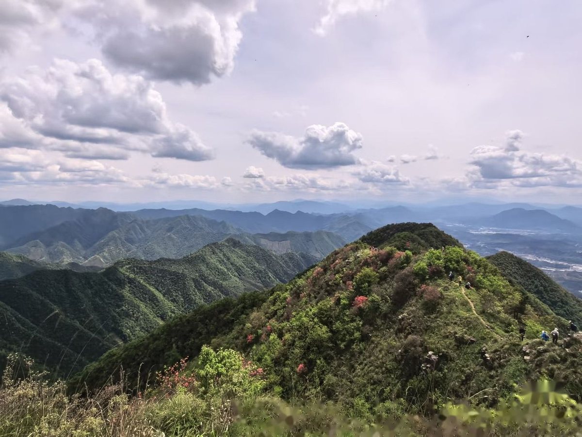 主峰与山脊花海