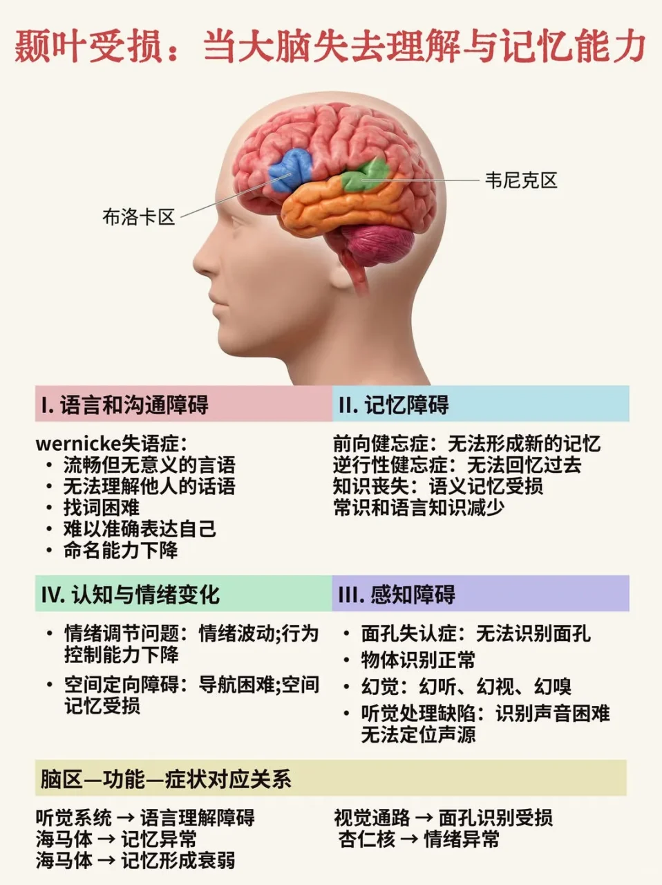 大脑语言功能区:韦尼克区与布洛卡区