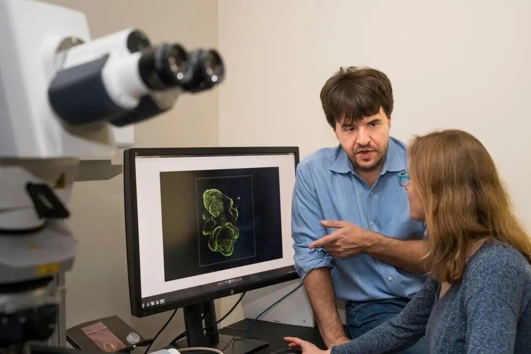 实验室里的神经科学研究场景（图源：Stanford Medicine）
